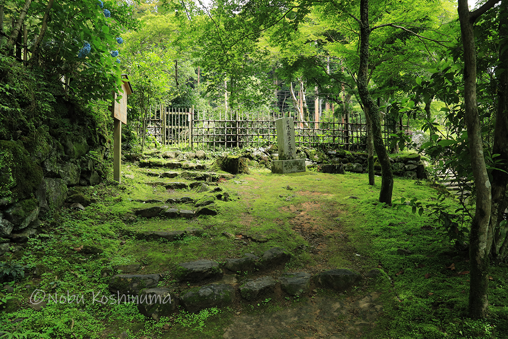 高山寺　世界遺産　日本最古之茶園