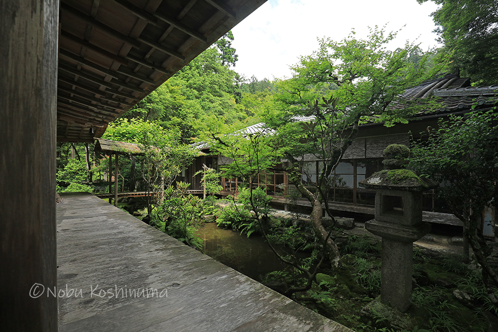 高山寺　石水院の中庭