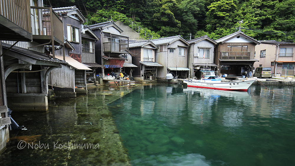 京都 舟屋群で知られる伊根町にて船釣りに挑戦 高級魚のアマダイ イトヨリダイ 真鯛が釣れましたぁ 京都奈良 Jp