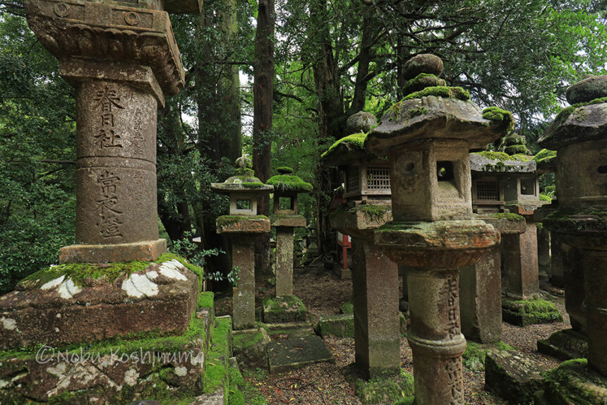 春日大社 3000基ある灯籠の中から「春日大明神」と彫られたレアな石 